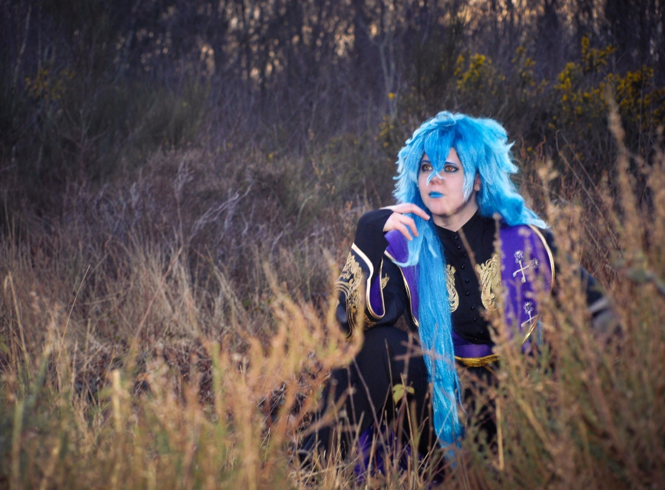 Idia shroud - Photo 2