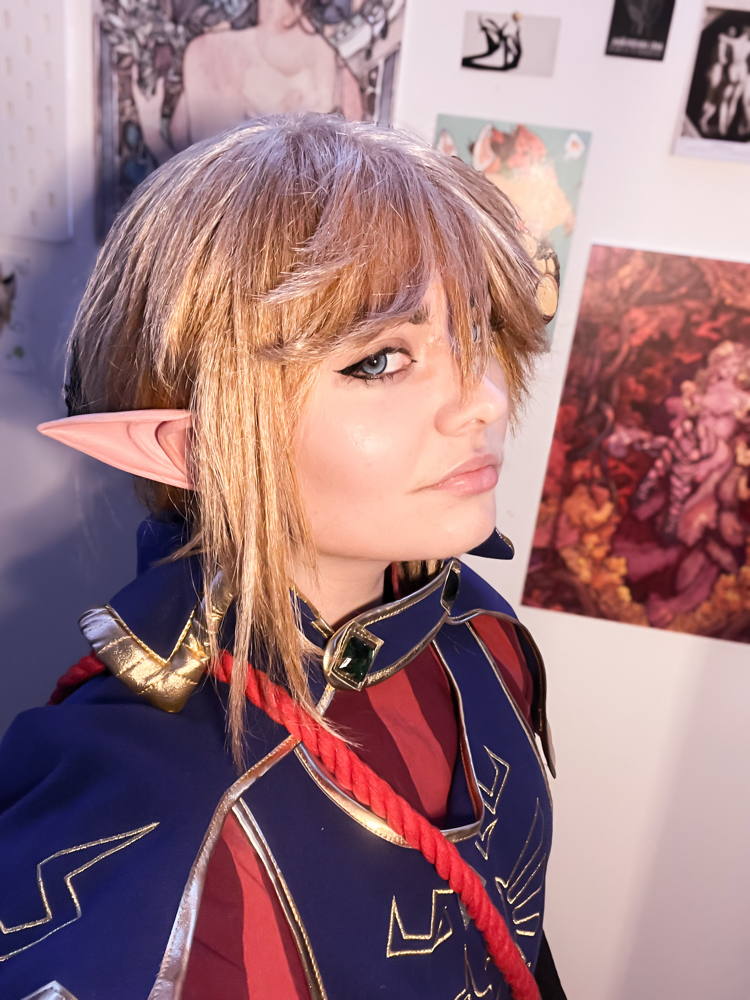 Link — photo 11