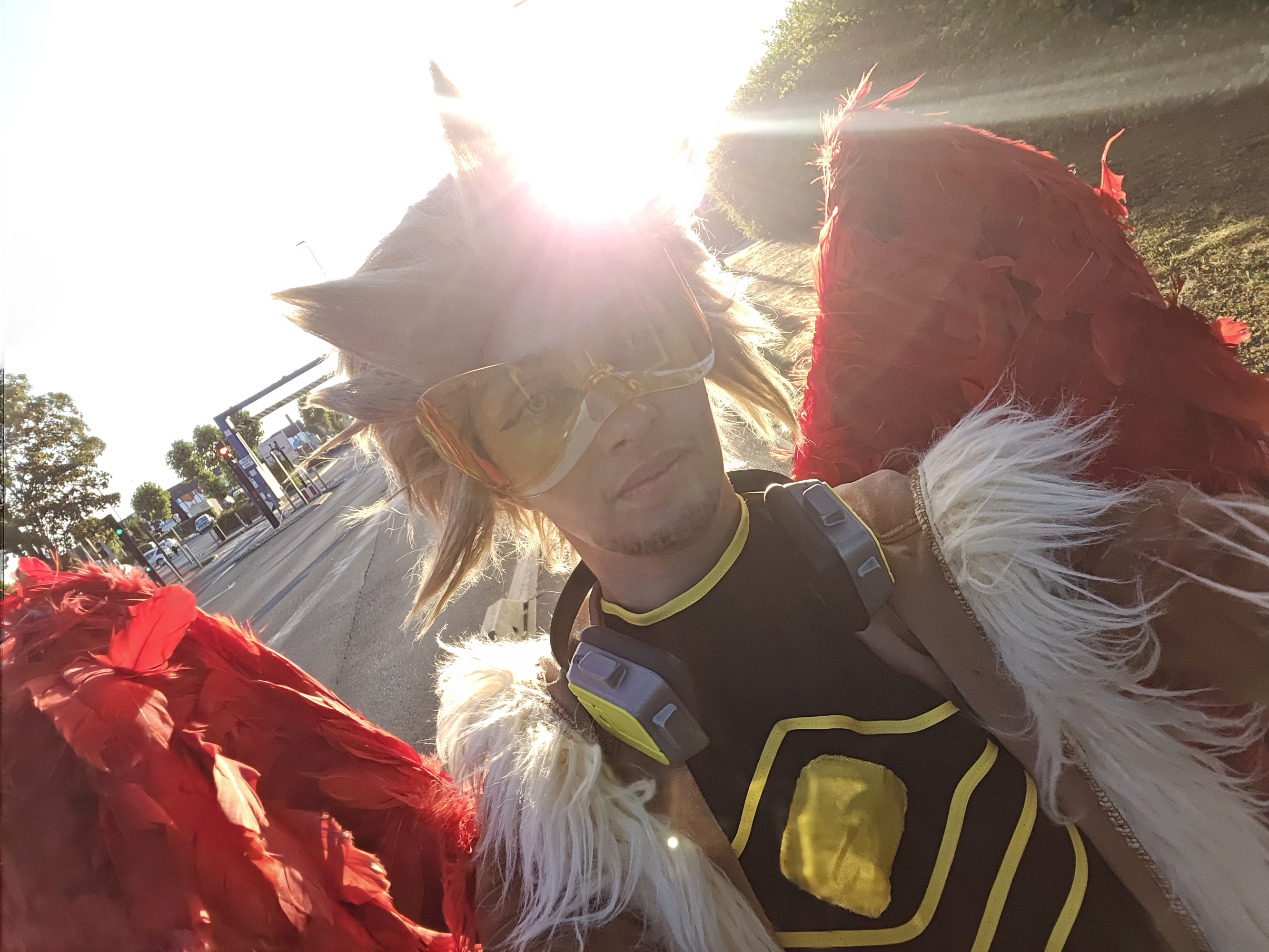 Hawks — photo 189