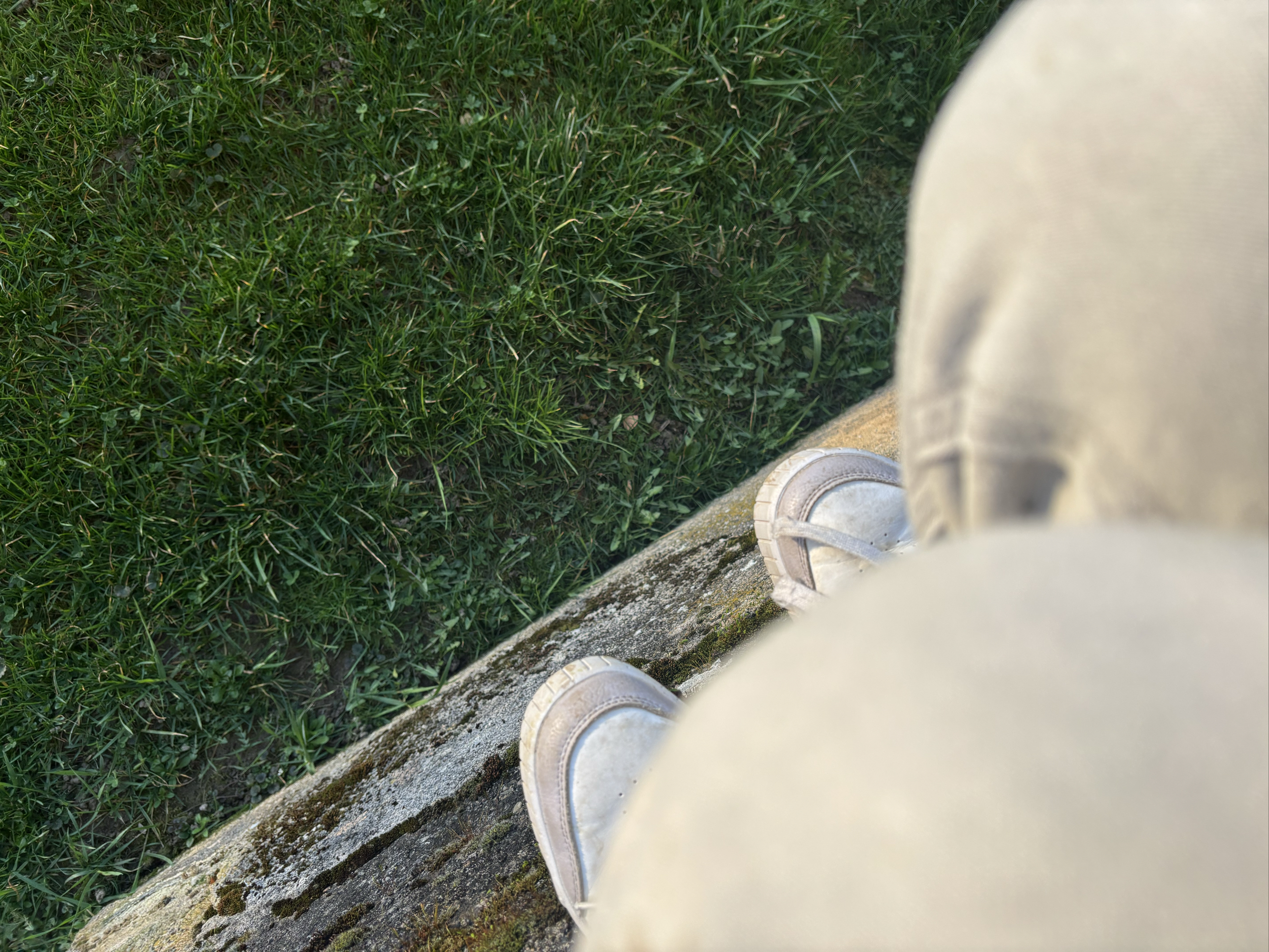 Miyo — photo 47