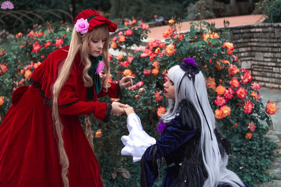 Maikiyo - Duo rozen maiden