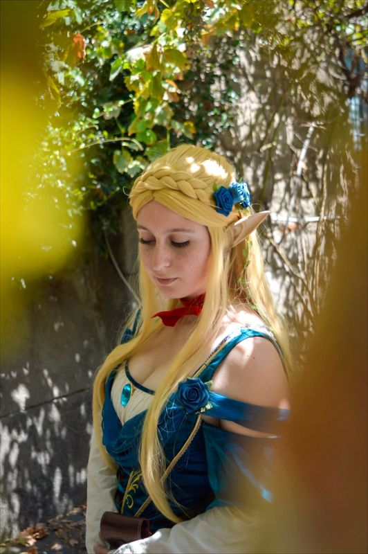 Yamiko_akane – Zelda