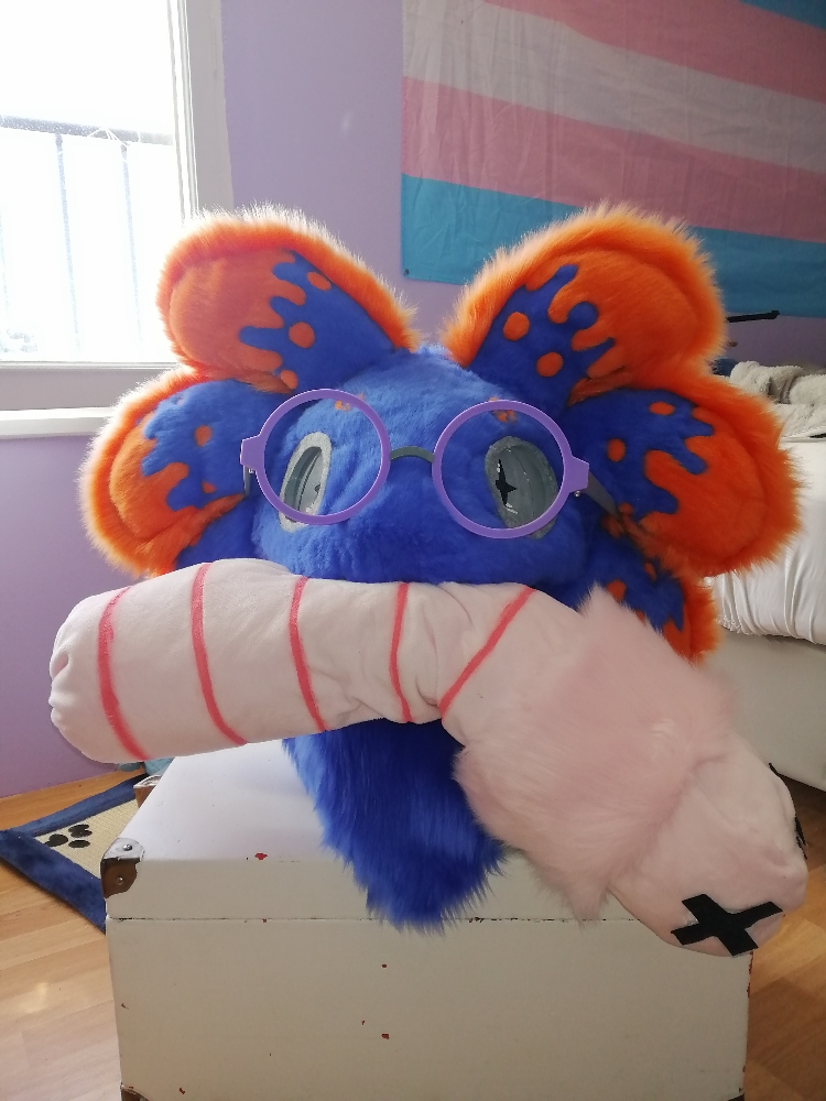 Stellar v2 - Photo 2