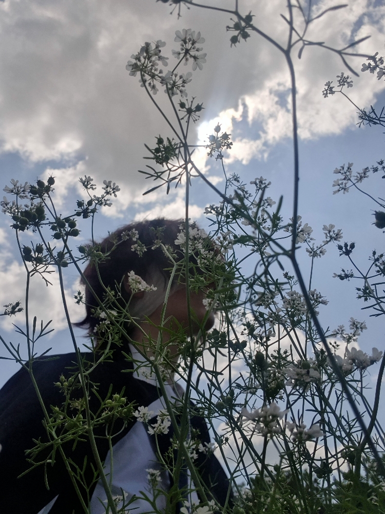 Dazai — photo 23