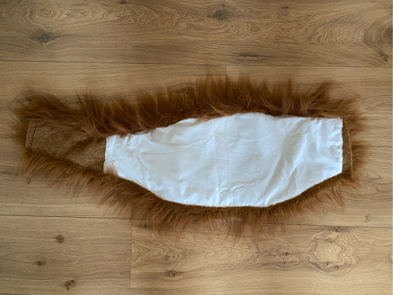 WIP Inosuke - Photo 14