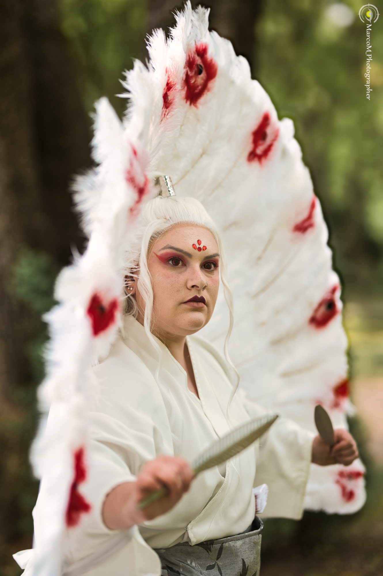 Lord Shen — photo 17