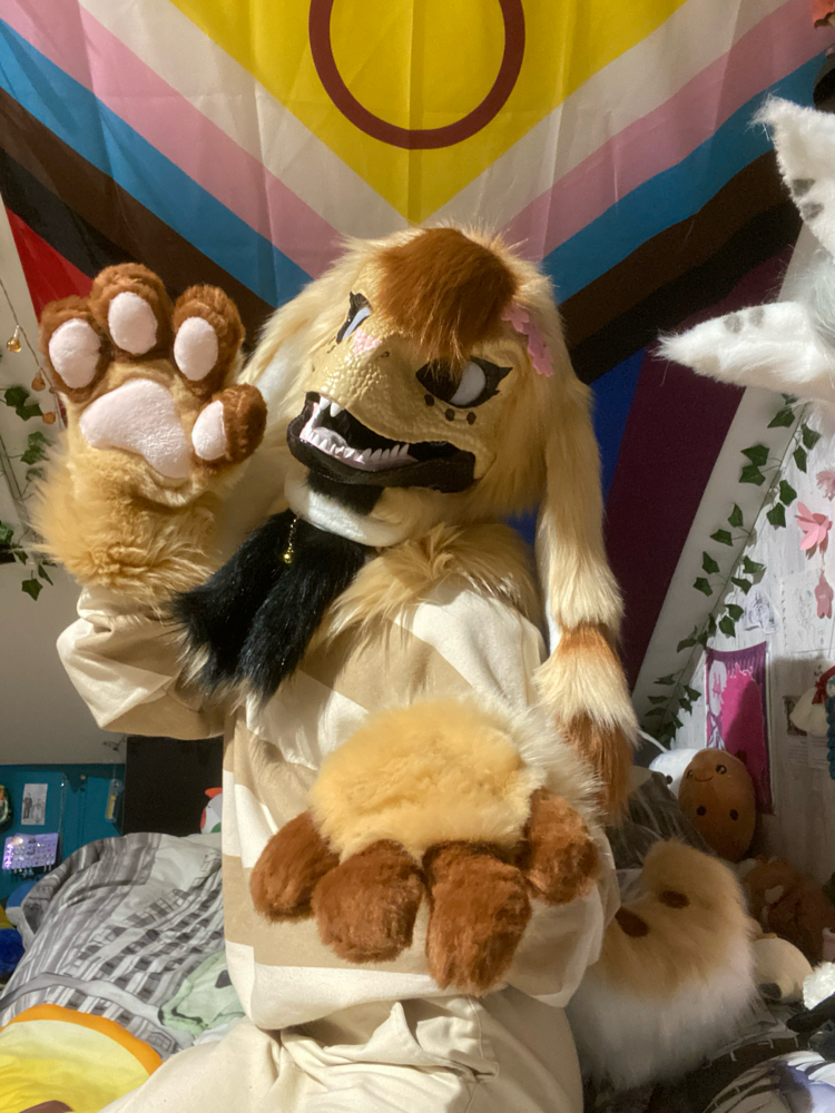 Photos Tapioca - Photo 32