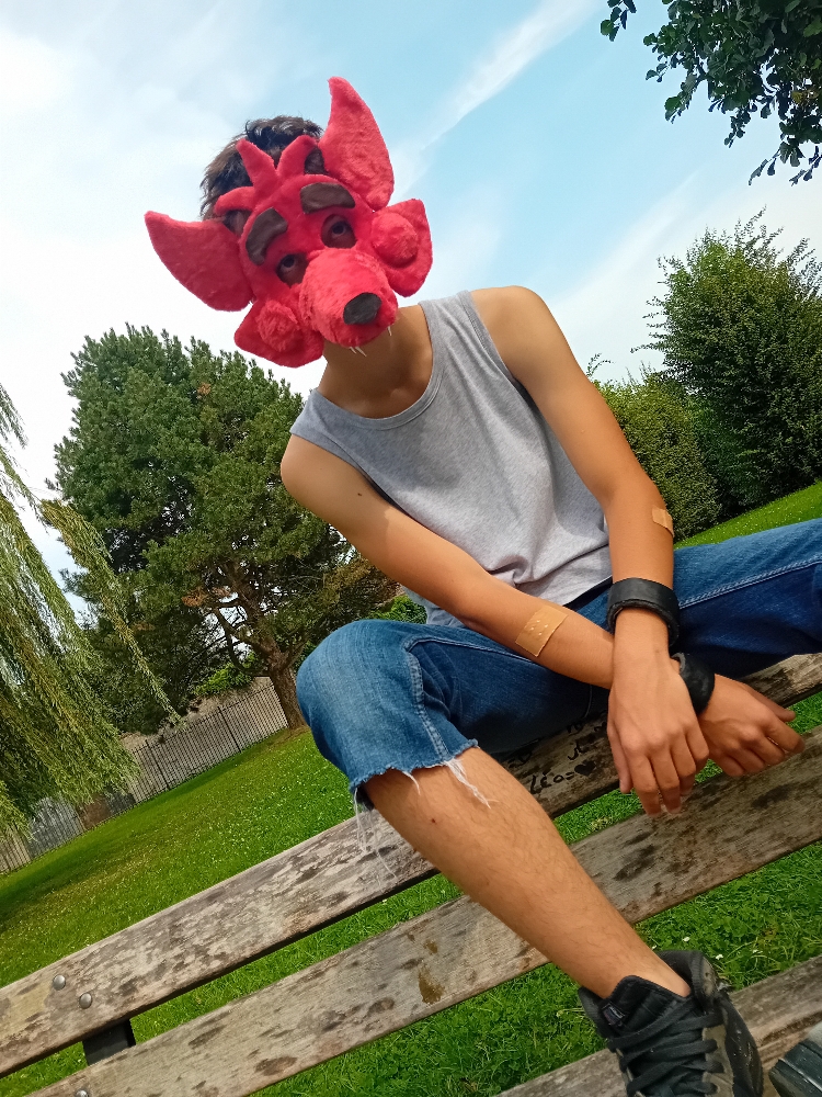 Orchies Festival - Photo 9