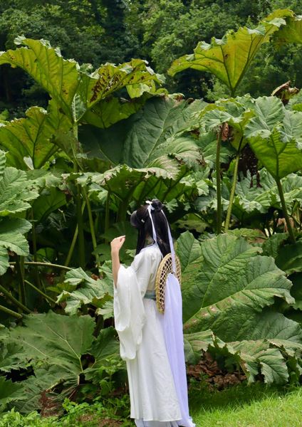 D. - Xie Lian