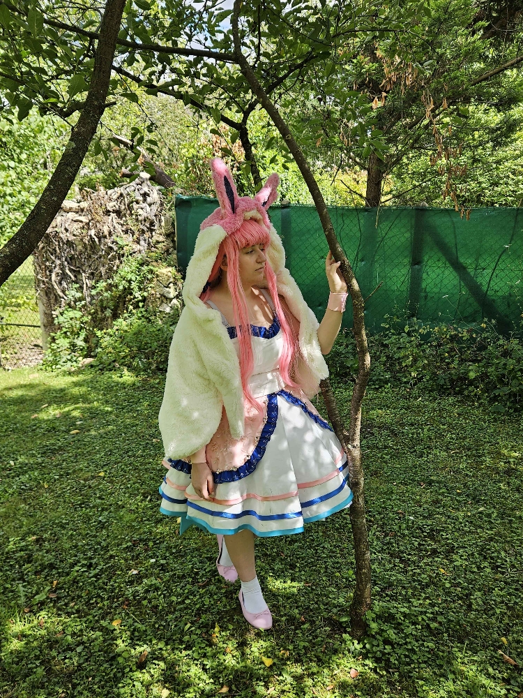 Nymphali forêt — photo 8