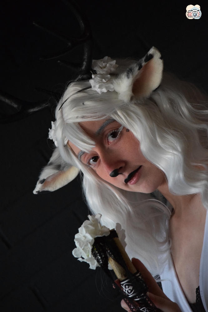 Faune noir et blanc — photo 8