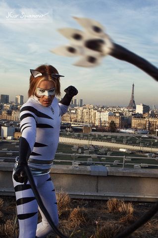 Miraculous OC heros2