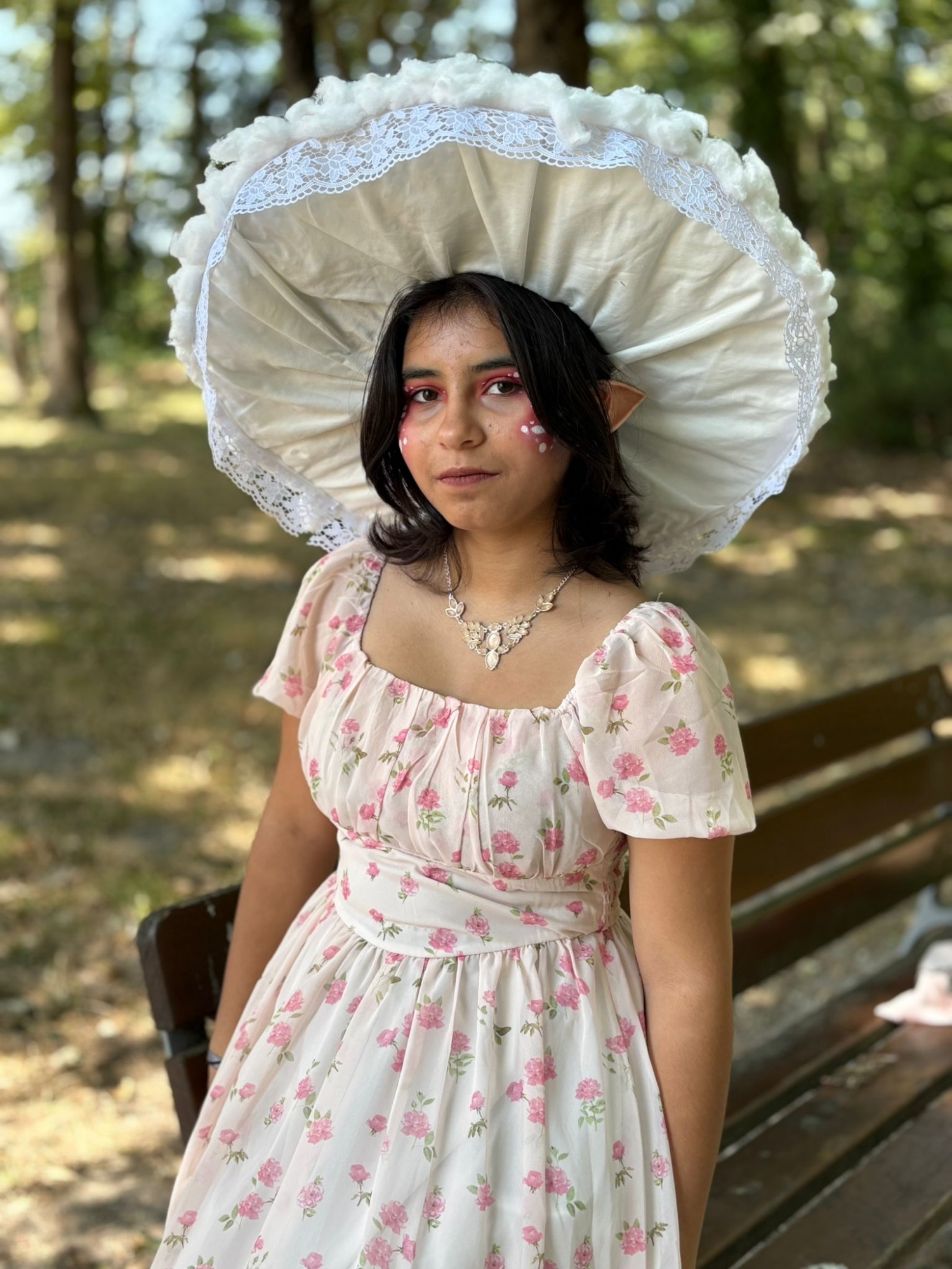 Champignon féerique  - Photo 7