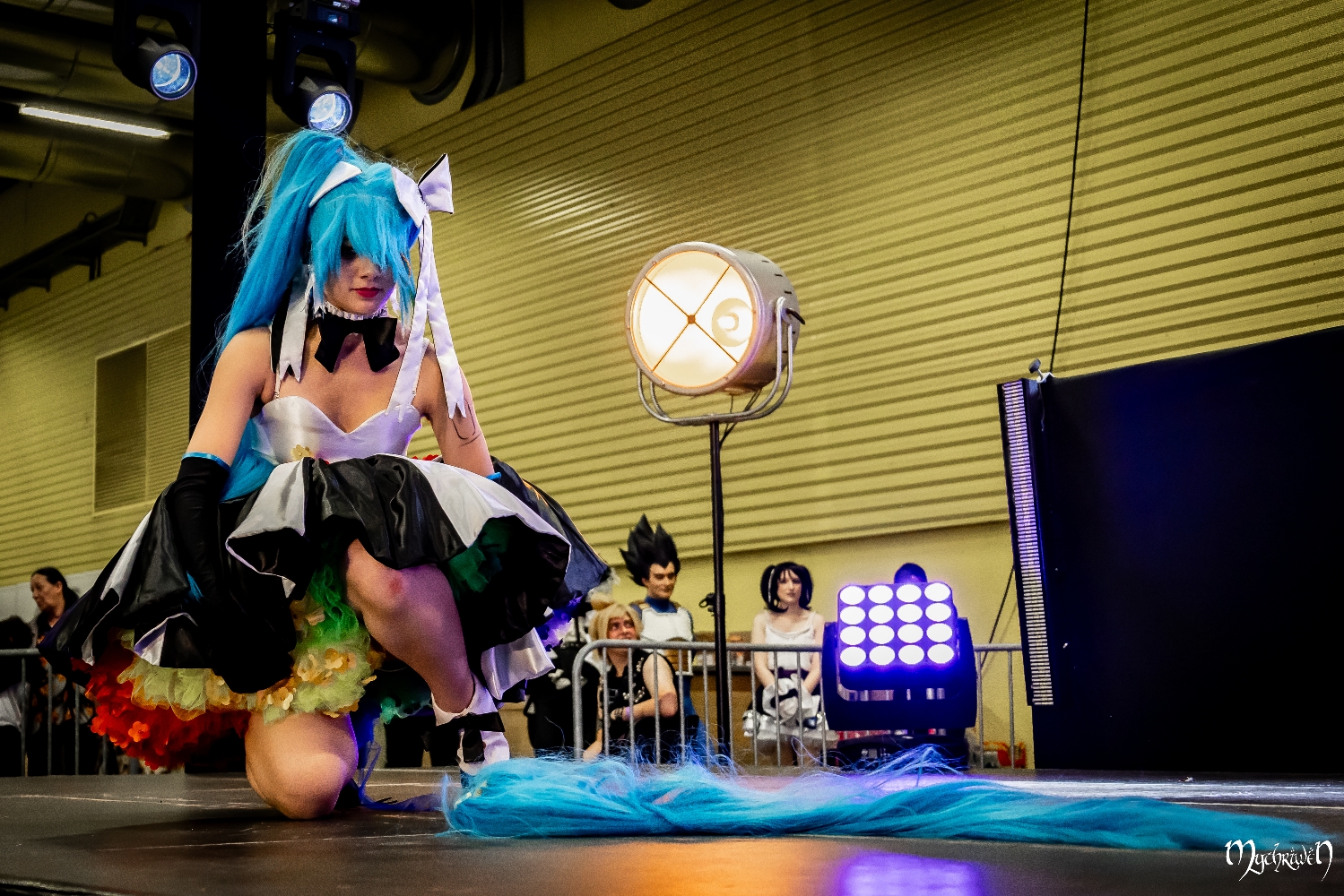 Pictapop 2024 - Photo 9