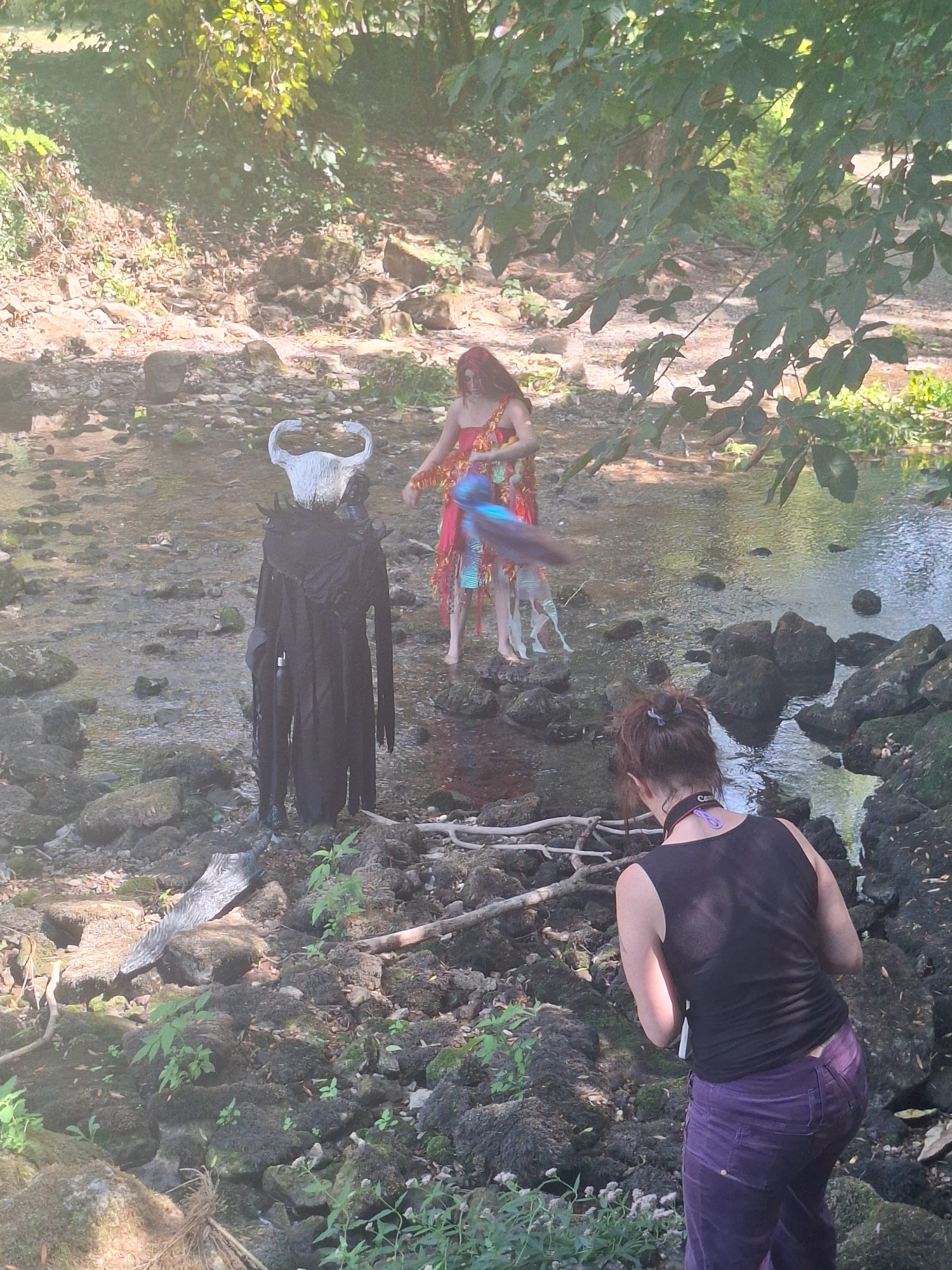 T — photo 12