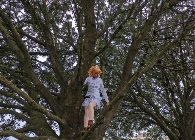 Emma tpn