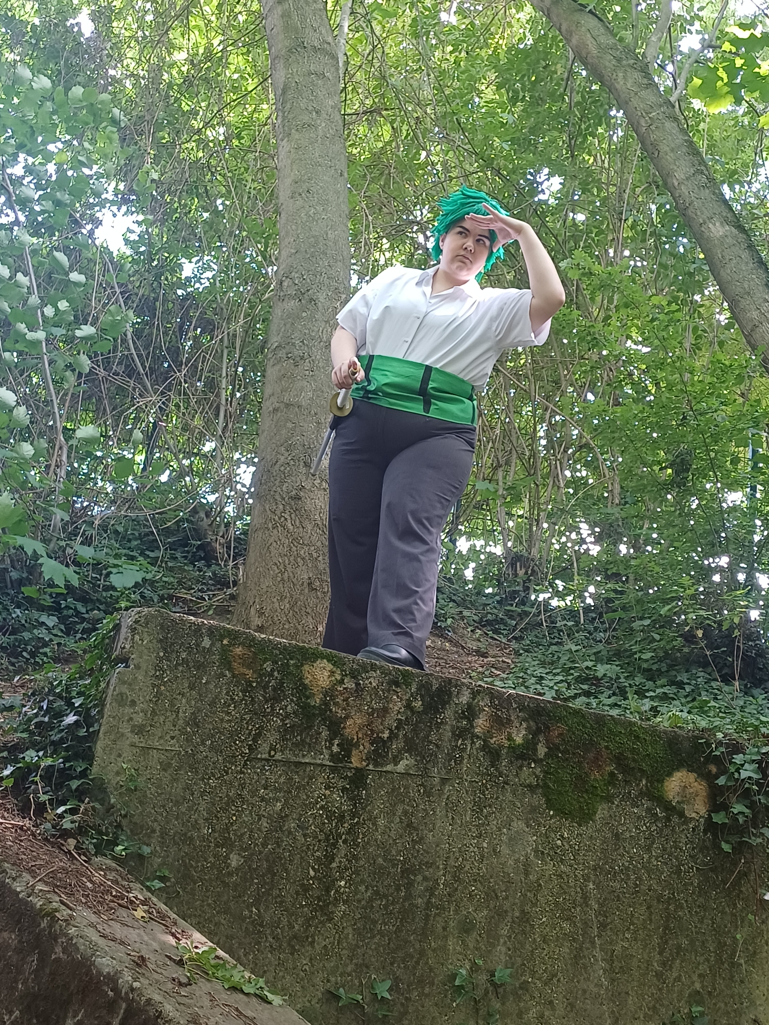 Zoro — photo 14