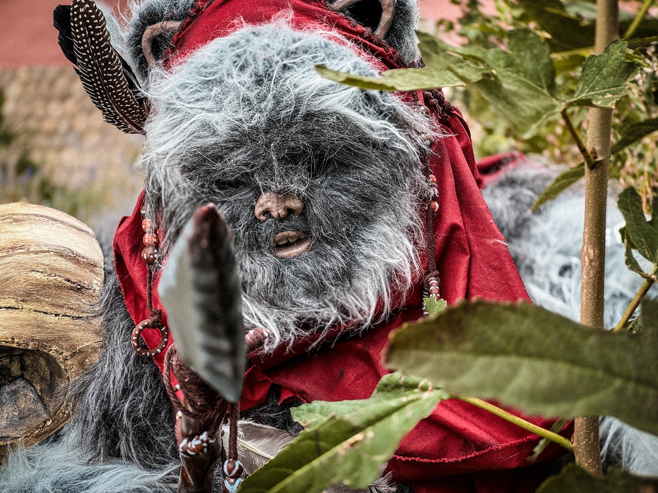Un Ewok À Vitrolles — photo 6