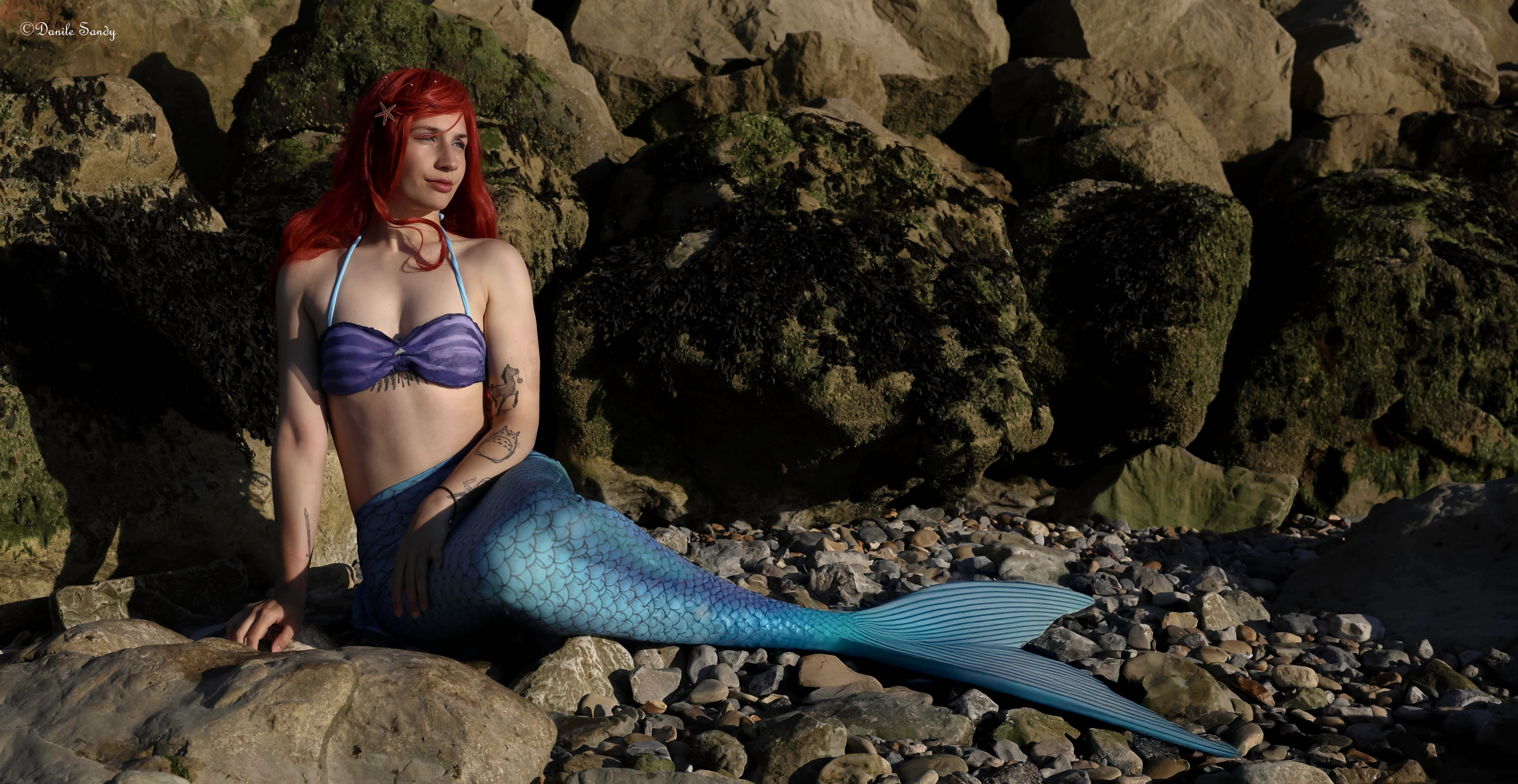 Ariel — photo 14