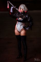 2B self destruc preview 2