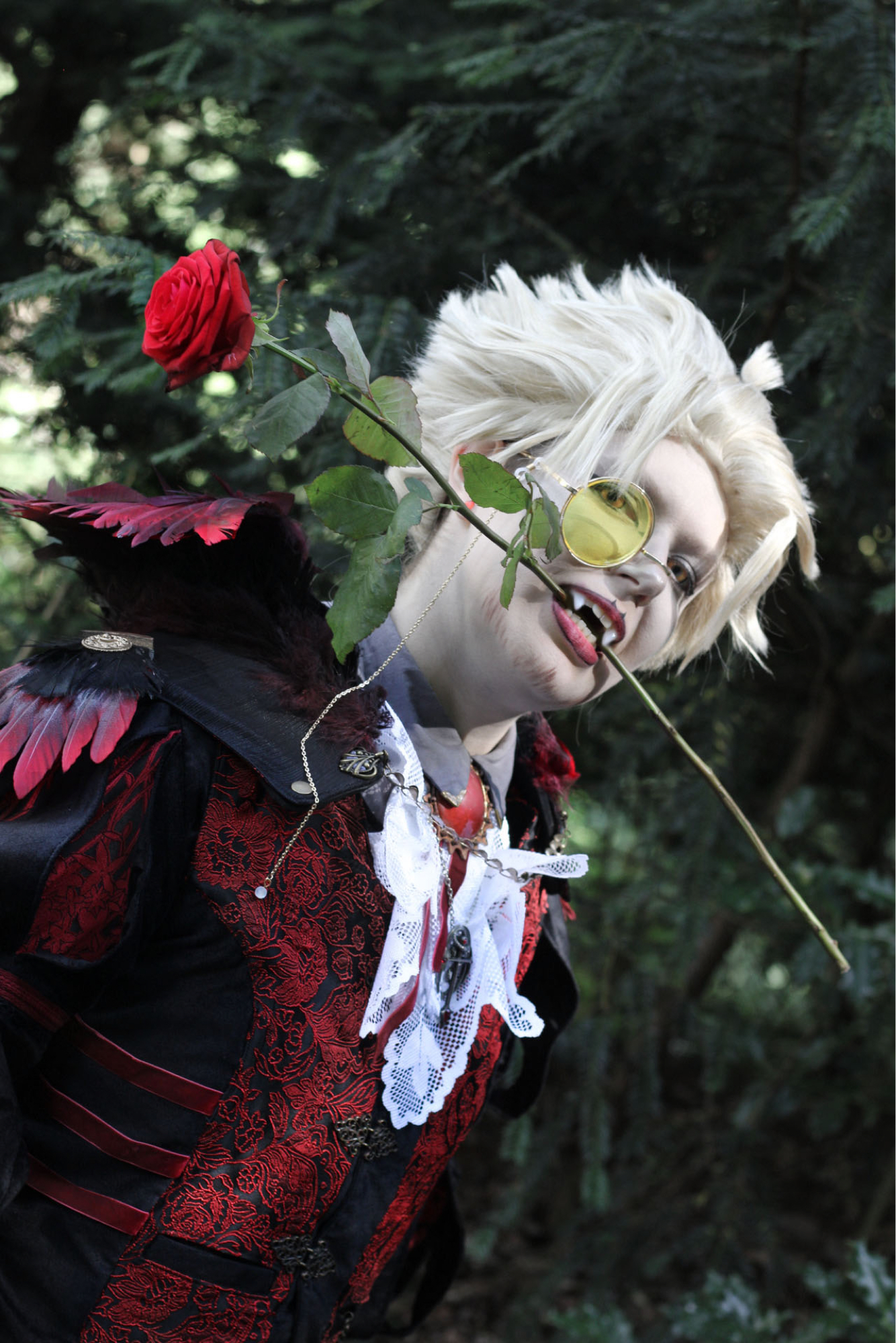 Vampire Hawks, photo 10