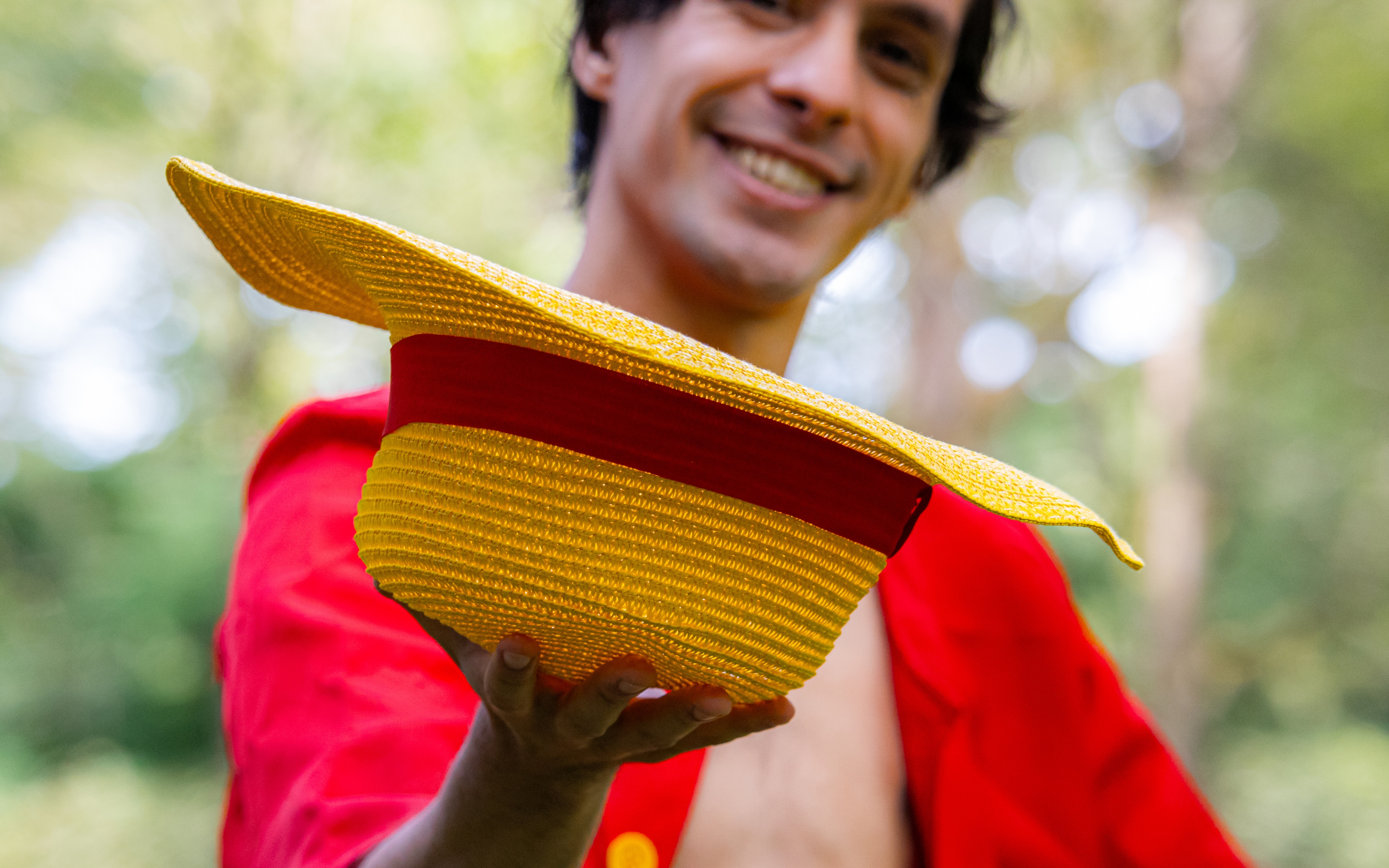 Monkey D Luffy — photo 7
