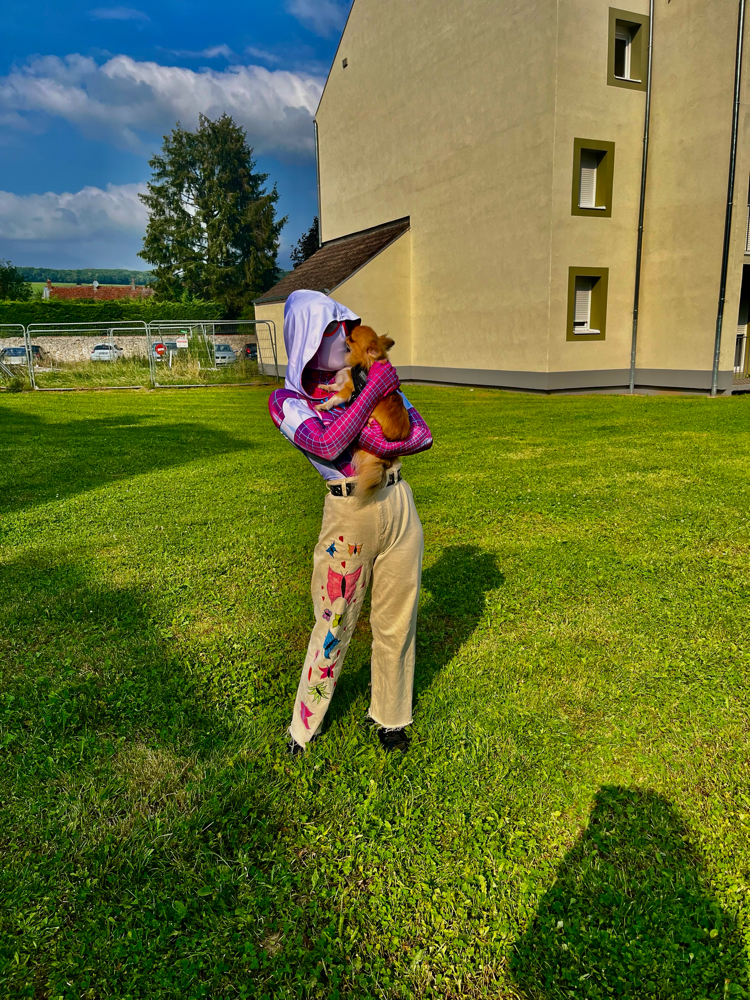 Spider butterfly  - Photo 12