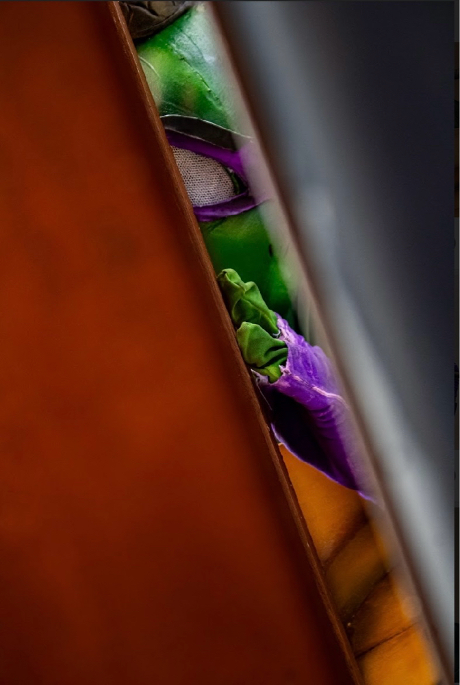 Donatello Tmnt - Photo 1