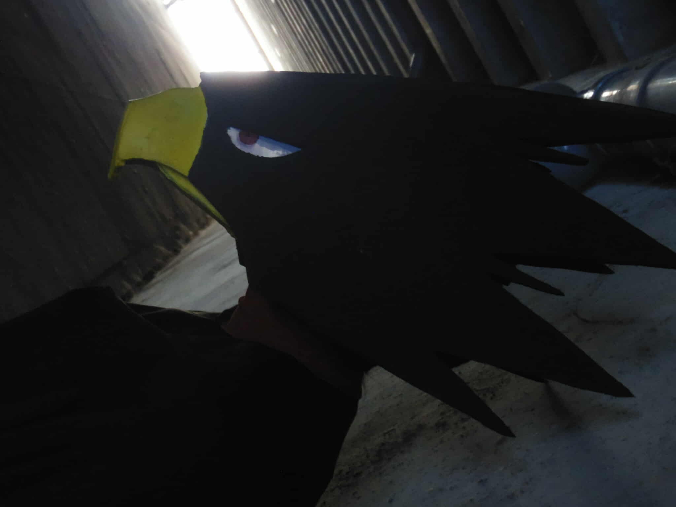 Tokoyami - JapanExpo - Photo 4