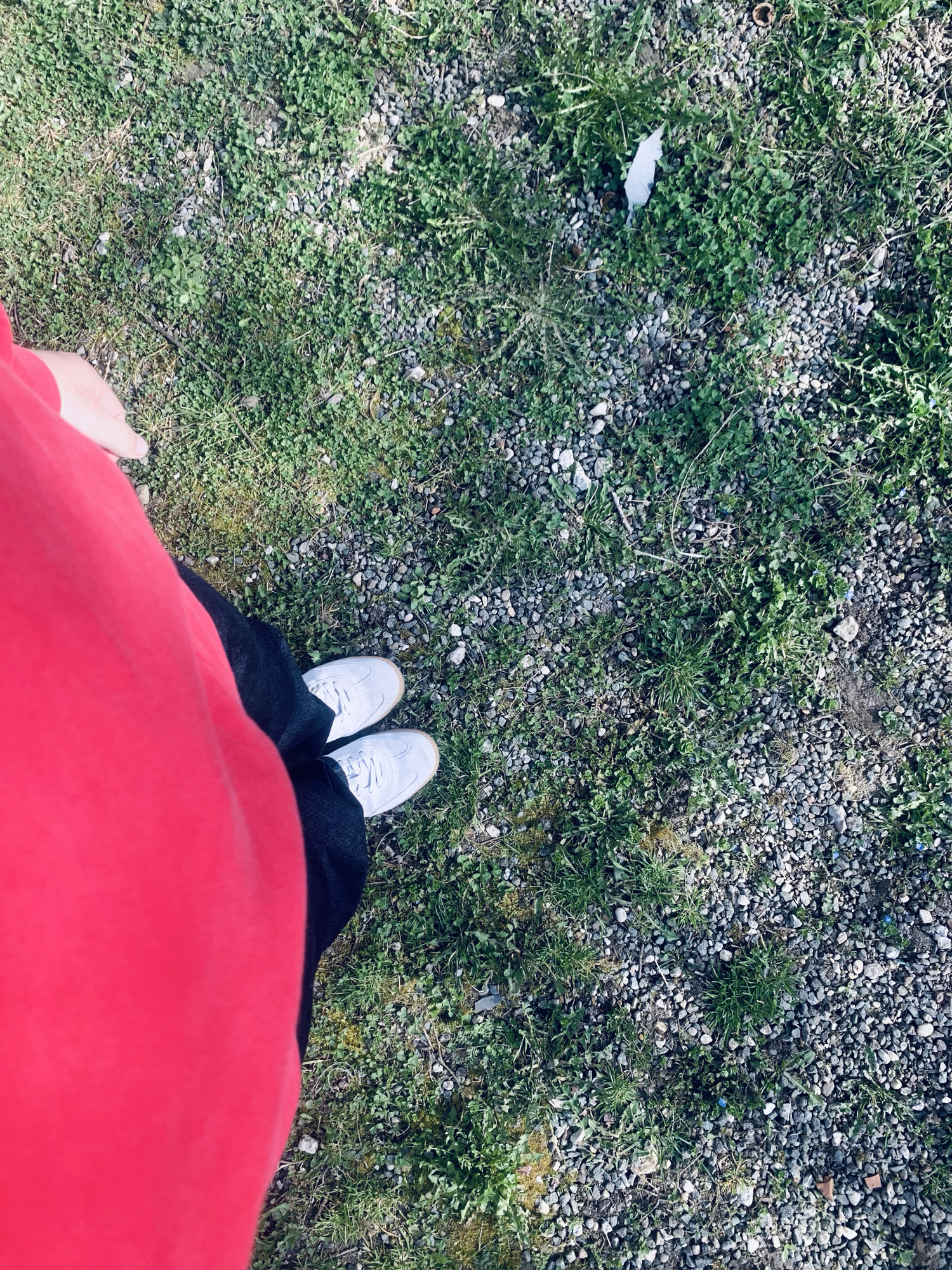 Shoto — photo 23