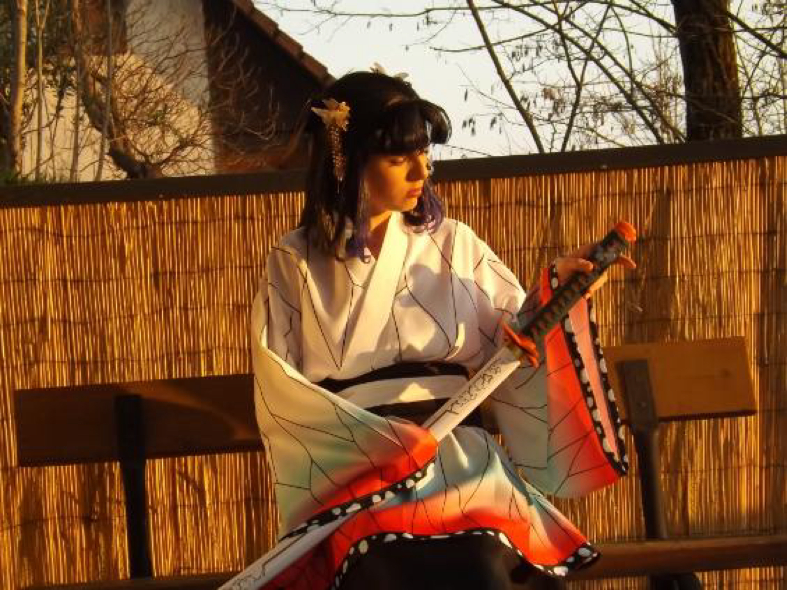 Shinobu kocho — photo 14