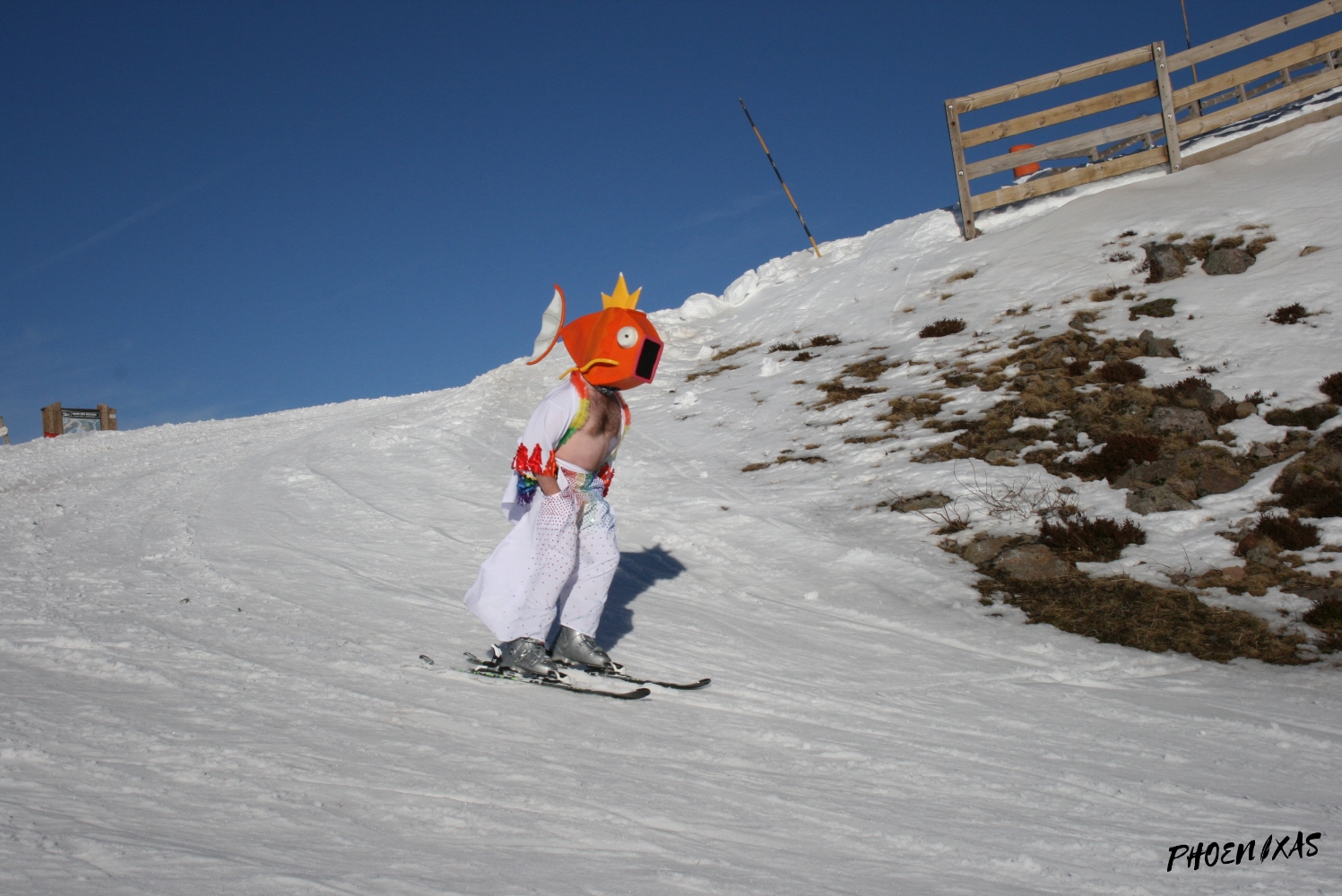 Magipride fait duSki - Photo 30