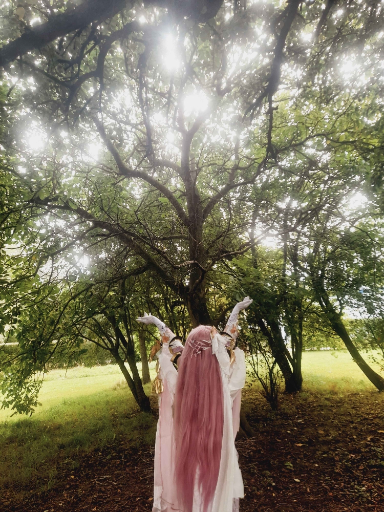 Elysia (Bailleul) - Photo 10