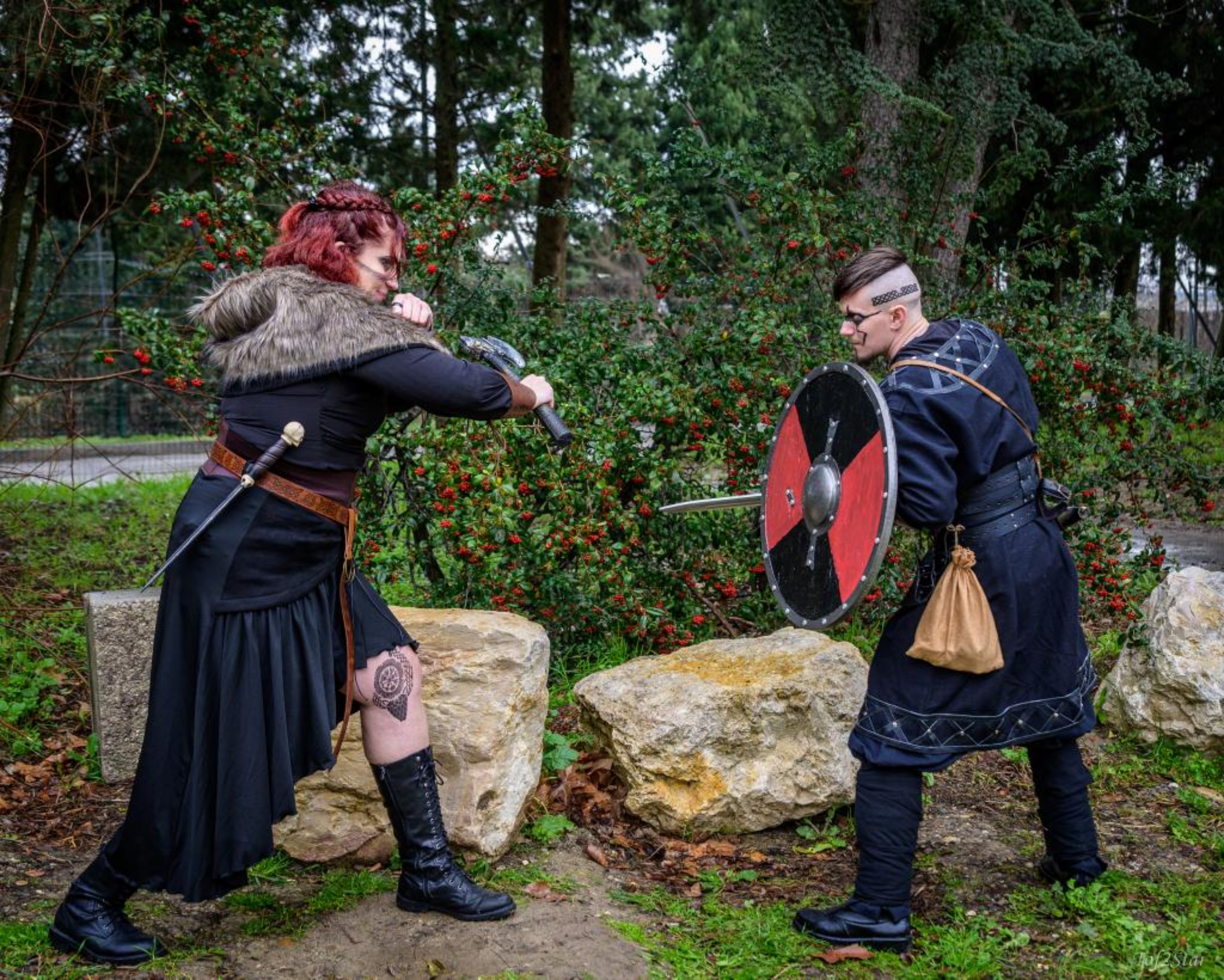 Viking, photo 6