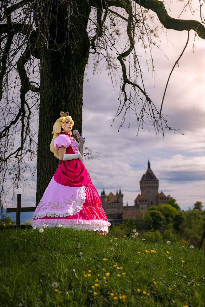 Peach and the Castel — photo 7