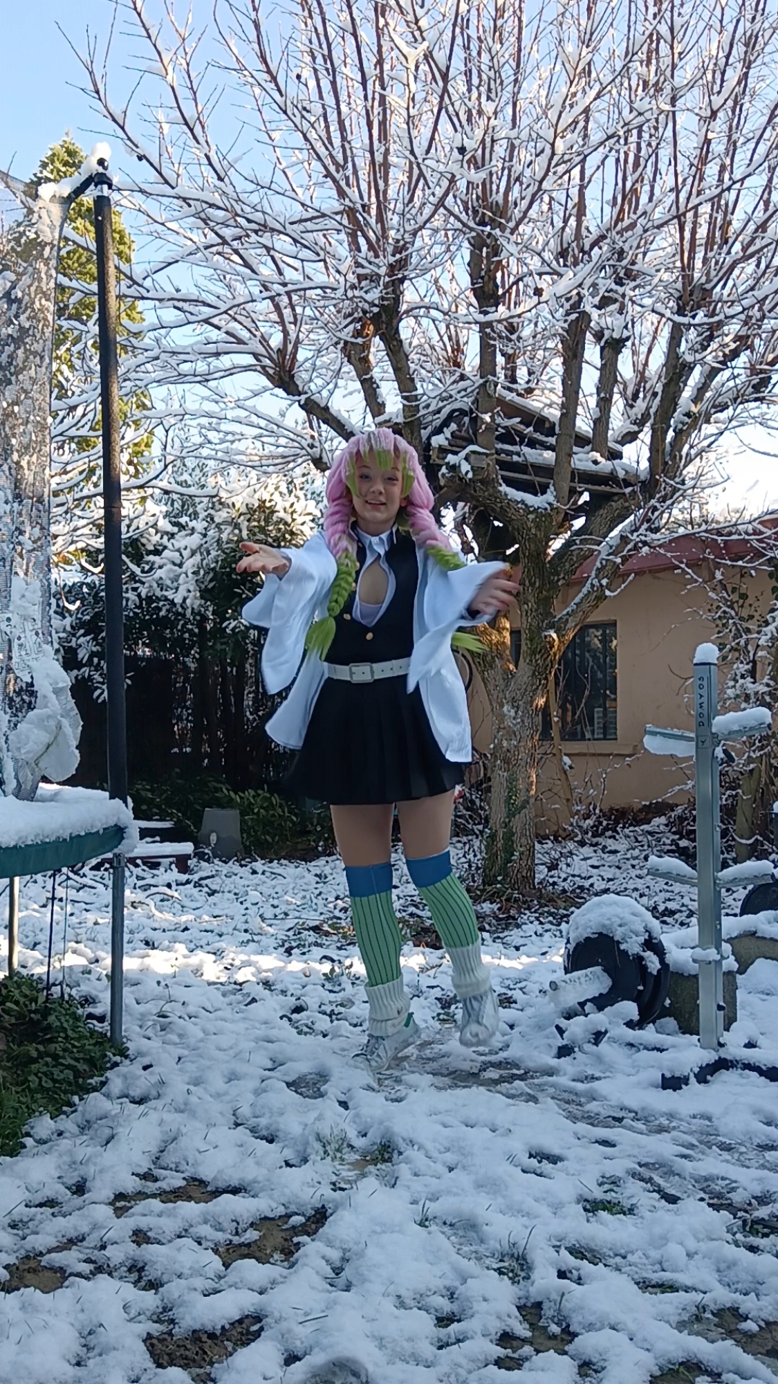 Mitsuri Kanroji - Photo 31