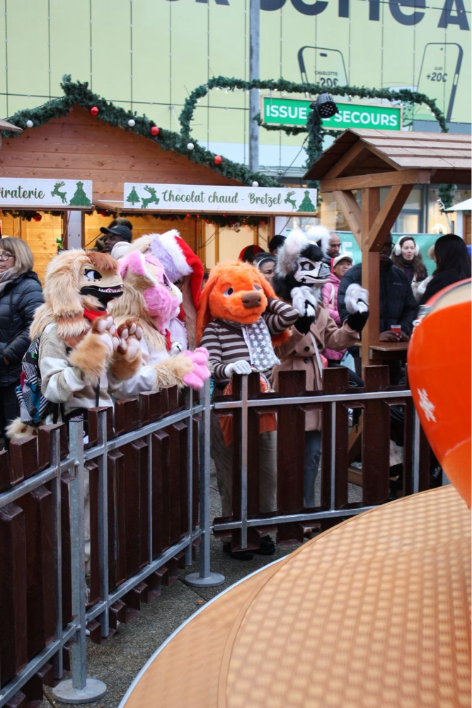 Photos Tapioca - Photo 21