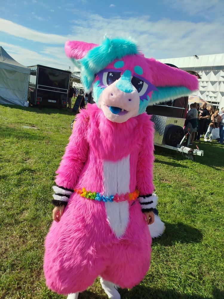 Folie furmeet — photo 7