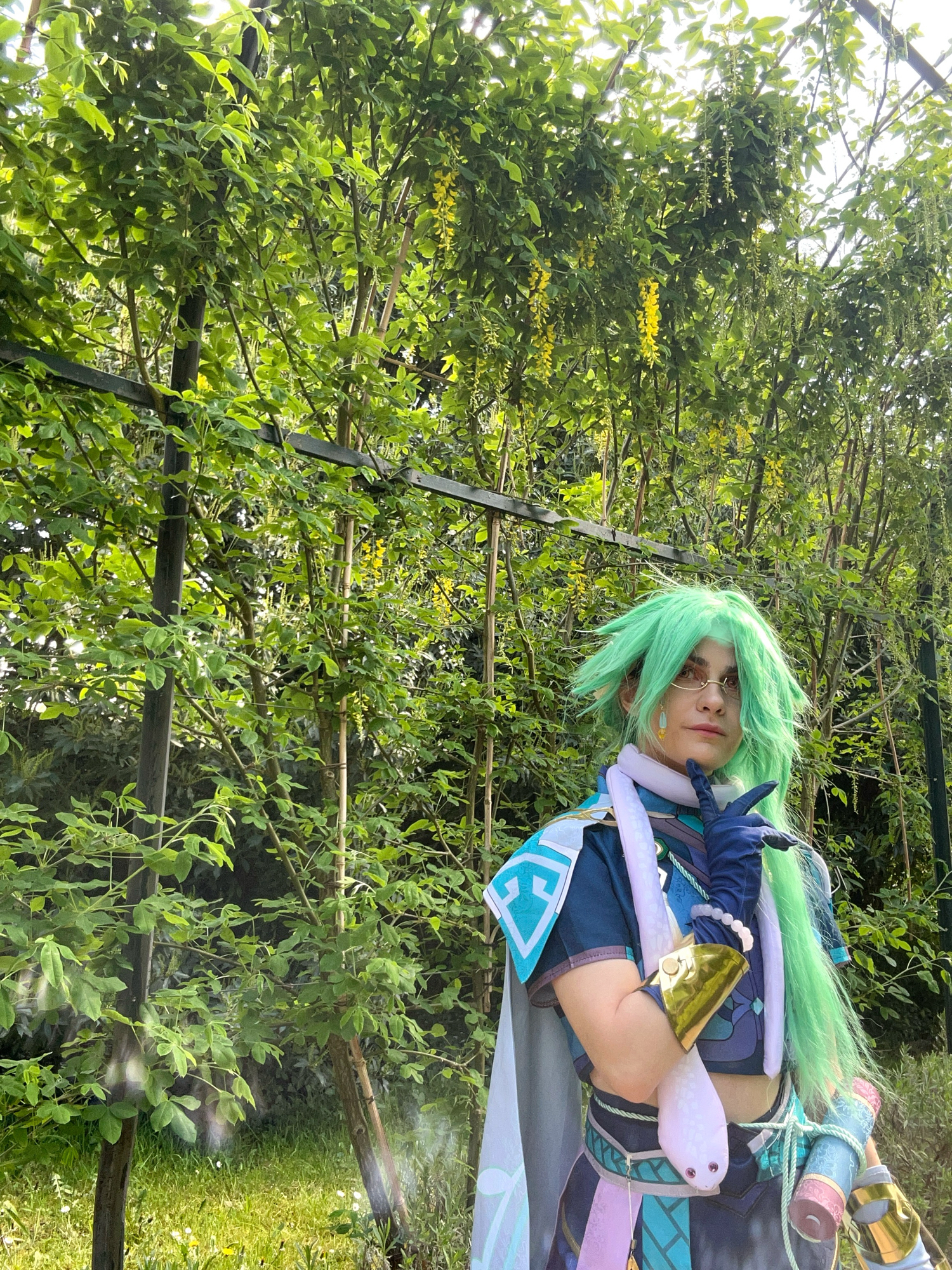 Baizhu — photo 7
