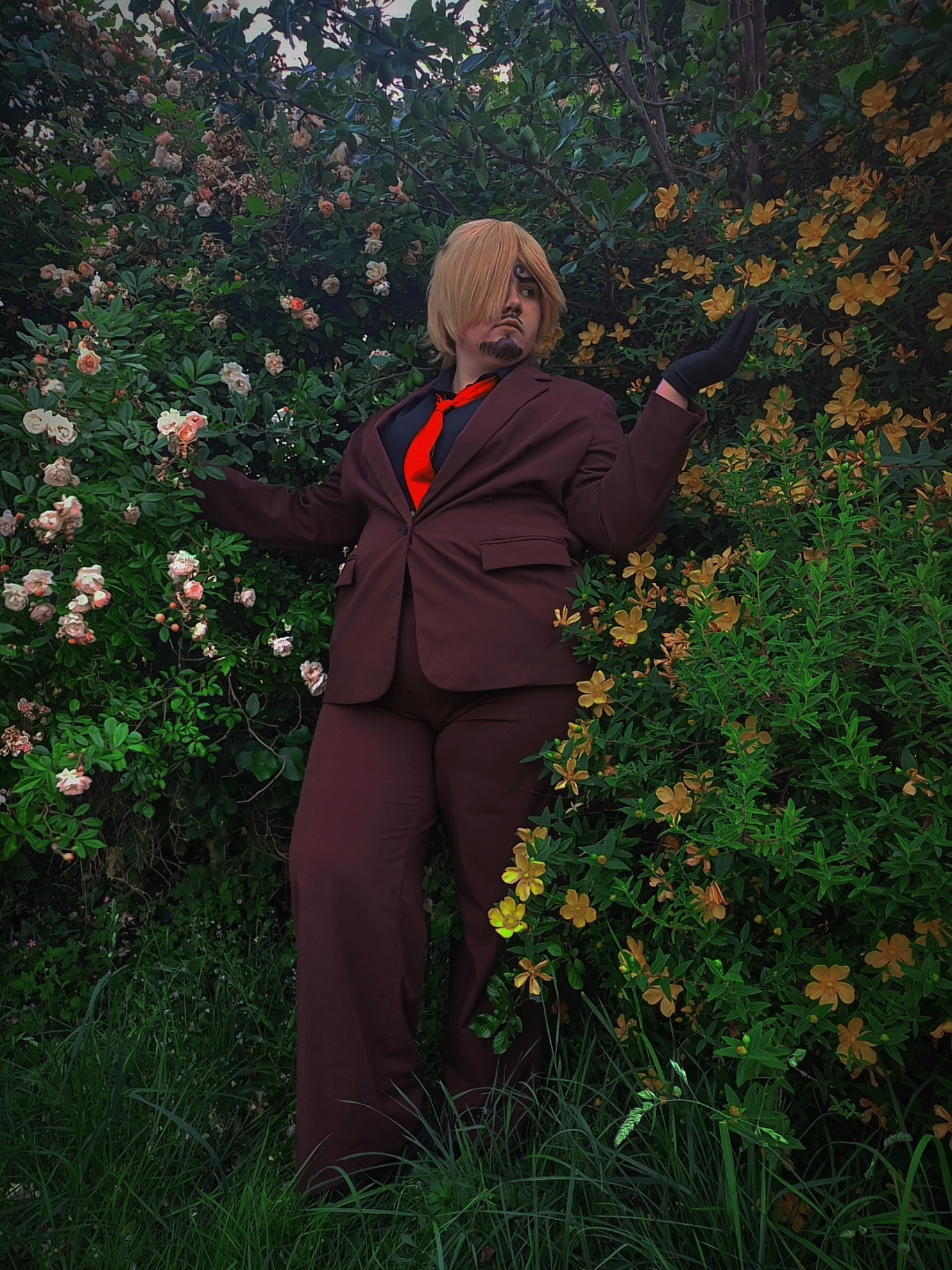 Sanji — photo 6