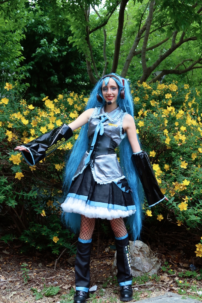 Miku — photo 5