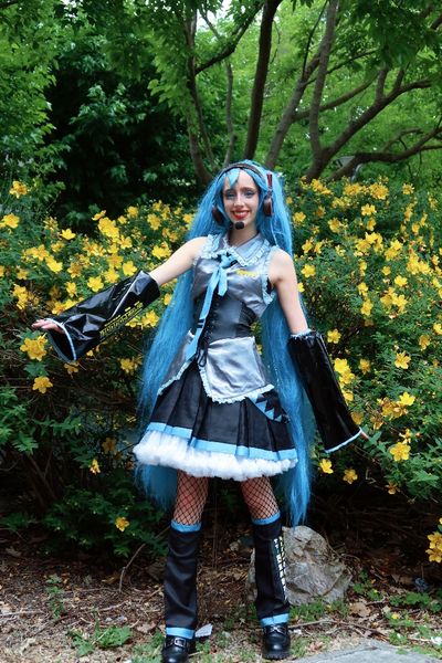 🎀🌸clelia🌸🎀 - Miku