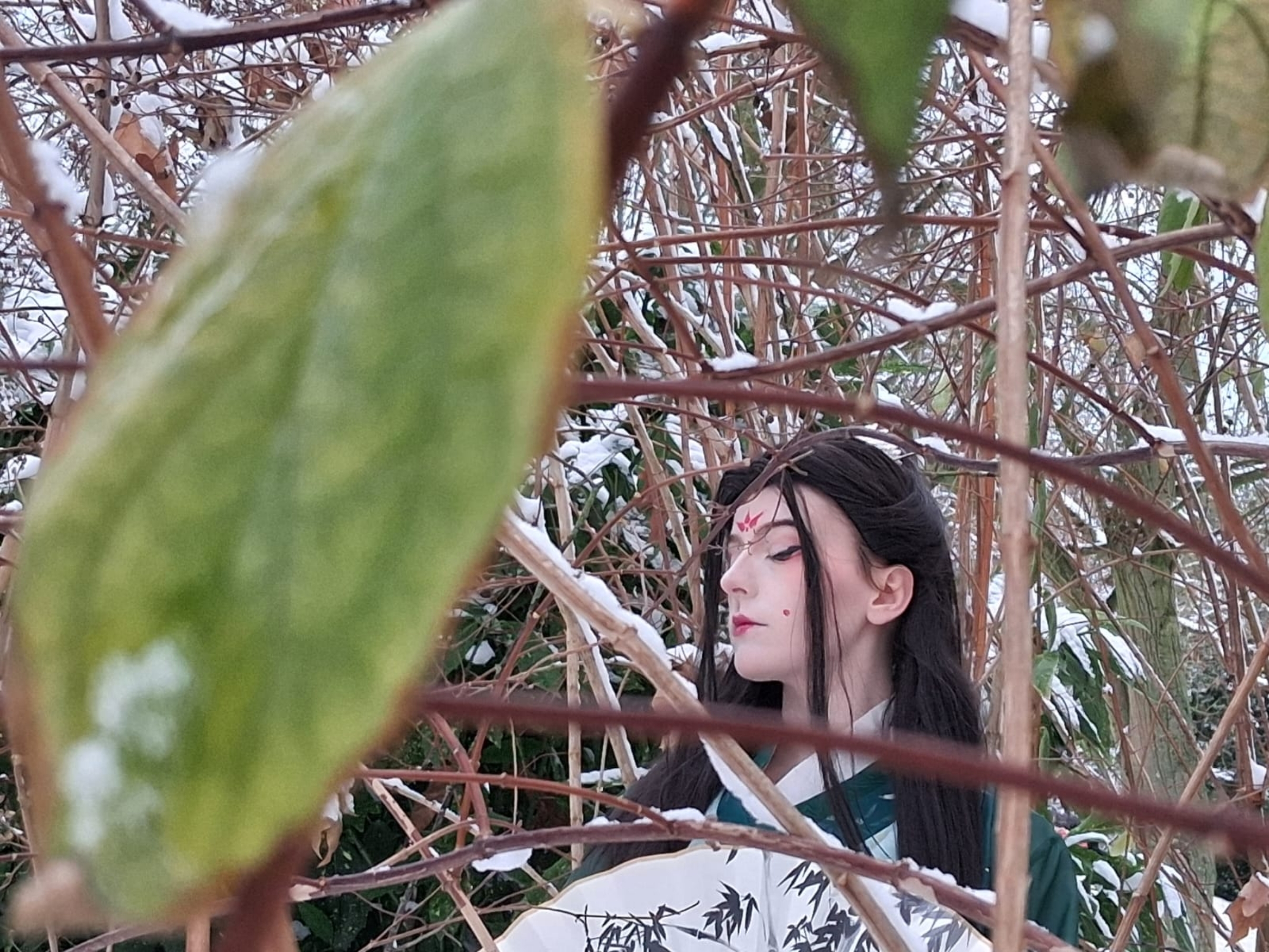 Sous la neige  - Photo 4