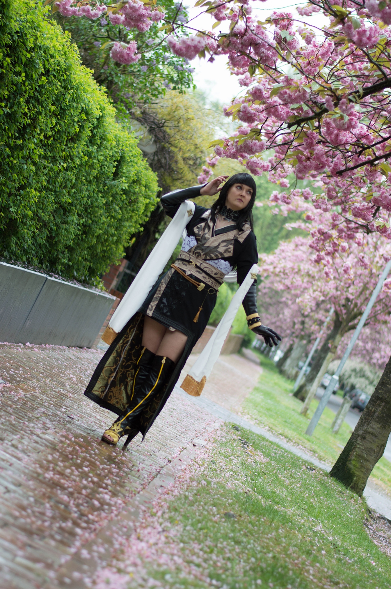 Gentiana (FF 15) — photo 20