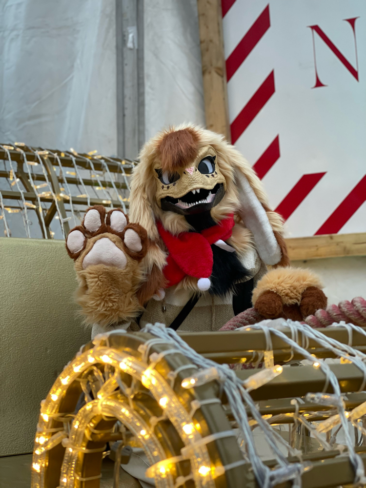 Photos Tapioca - Photo 30