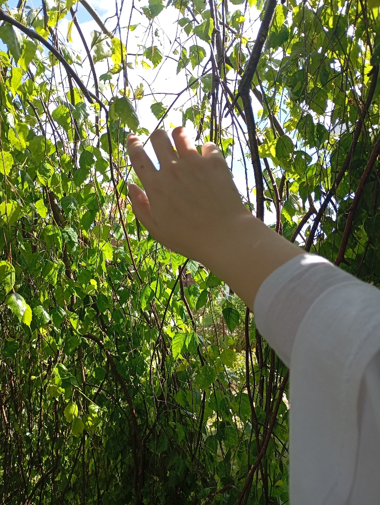 Xie Lian!!  - Photo 6