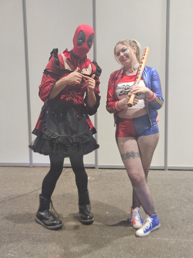 Harley quinn — photo 54