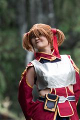 Silica preview 3