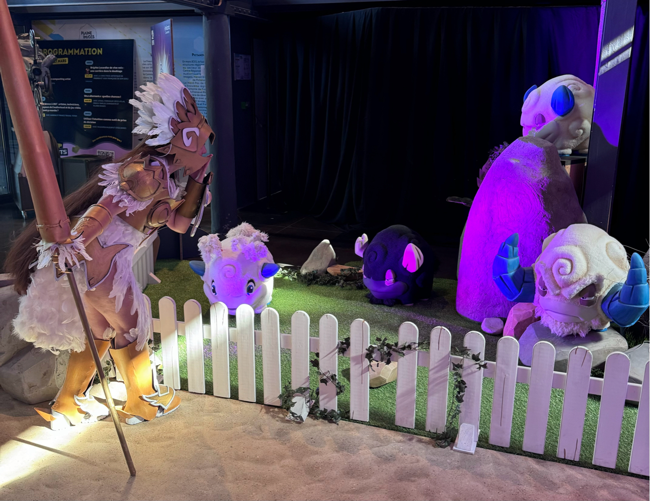 Ankama Convention - Photo 3