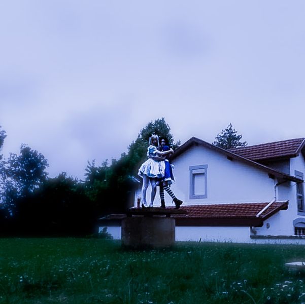 Hortensia_ - Alice